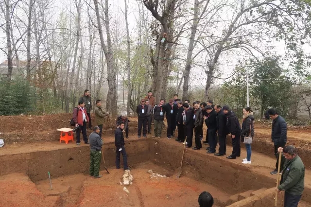 会员活动之参观萧县金寨遗址考古现场和金寨文…
